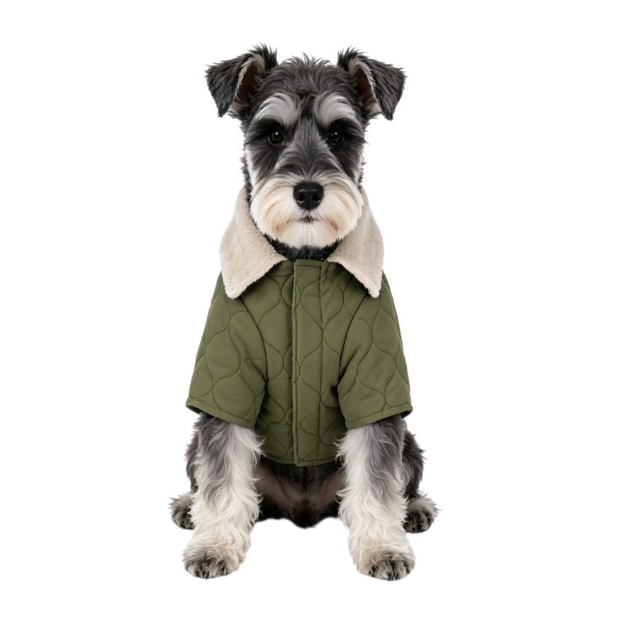 Gotoo Casaco Acolchoado Verde para c&atilde;es, , large Imagem n&uacute;mero 7
