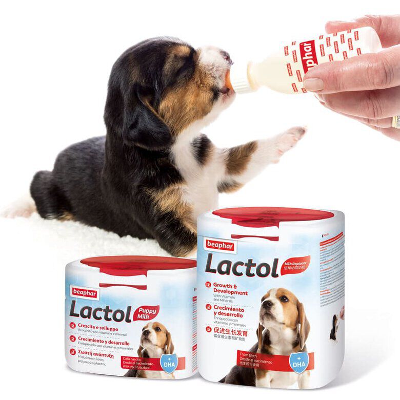 Beaphar Lactol Leche en Polvo para cachorros7 Imagem n&uacute;mero 7