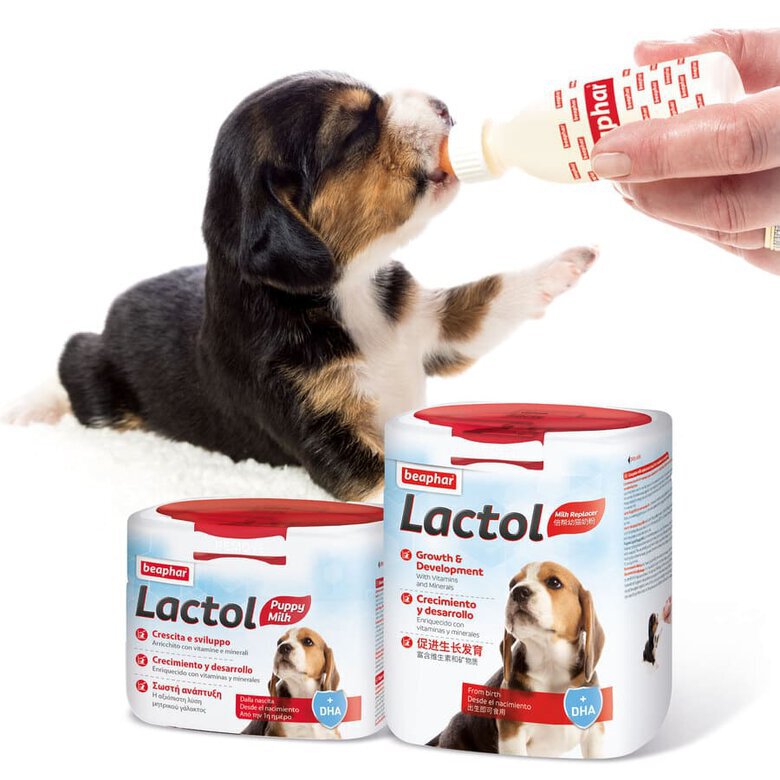leche_cachorros_beaphar_BEA15196_M_AG23_7 Imagem número 7 Beaphar Lactol Leche en Polvo para cachorros7 Imagem número 7