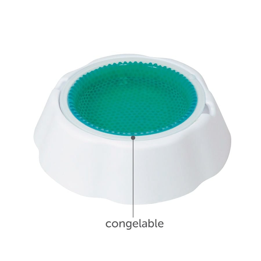 Summer Vibes Bebedouro Congel&aacute;vel para C&atilde;es, , large Imagem n&uacute;mero 1