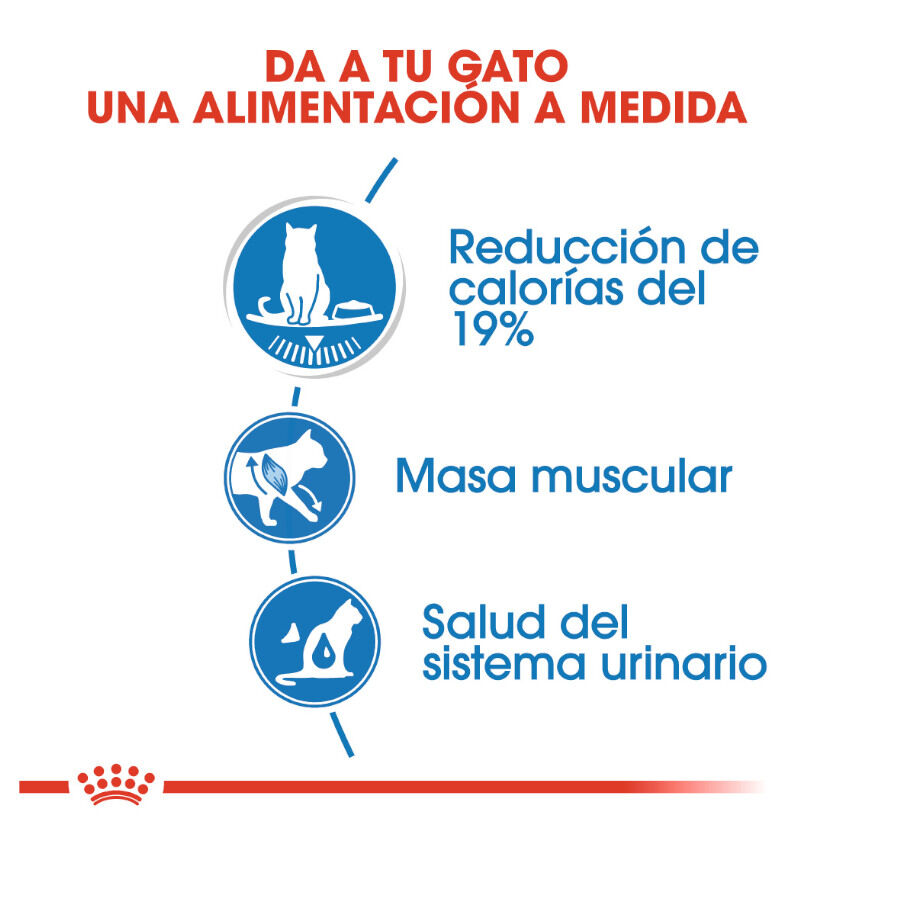 85 g Royal Canin Ultra Light saquetas para gatos, , large Imagem n&uacute;mero 5