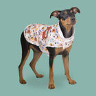 Outech Spring casaco de flores para cães, , large image number null