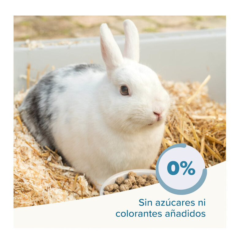 Beaphar Care + ração para coelhos Jr super premium,  Imagem número 5 Beaphar Care + ração para coelhos Jr super premium, , large Imagem número 5