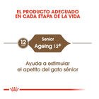 Royal Canin Ageing +12 ração para gatos, , large image number null