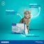 Effipro Pipetas Antiparasitárias para gatos, , large Indicador imagem número 3