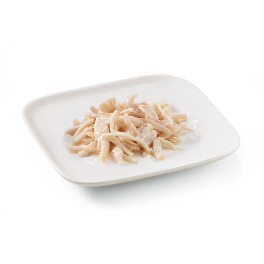 150 g Schesir Adult Frango lata para c&atilde;es, , large Imagem n&uacute;mero 2