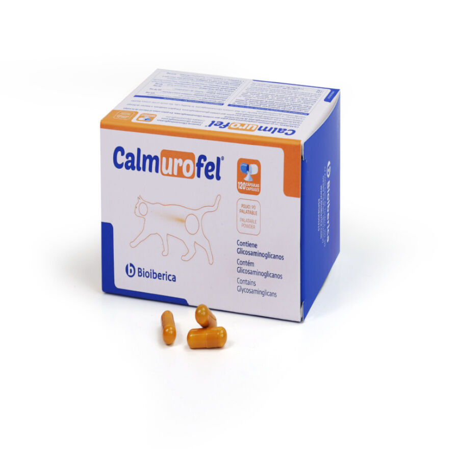 Bioiberica Calmurofel C&aacute;psulas para gatos , , large Imagem n&uacute;mero 1