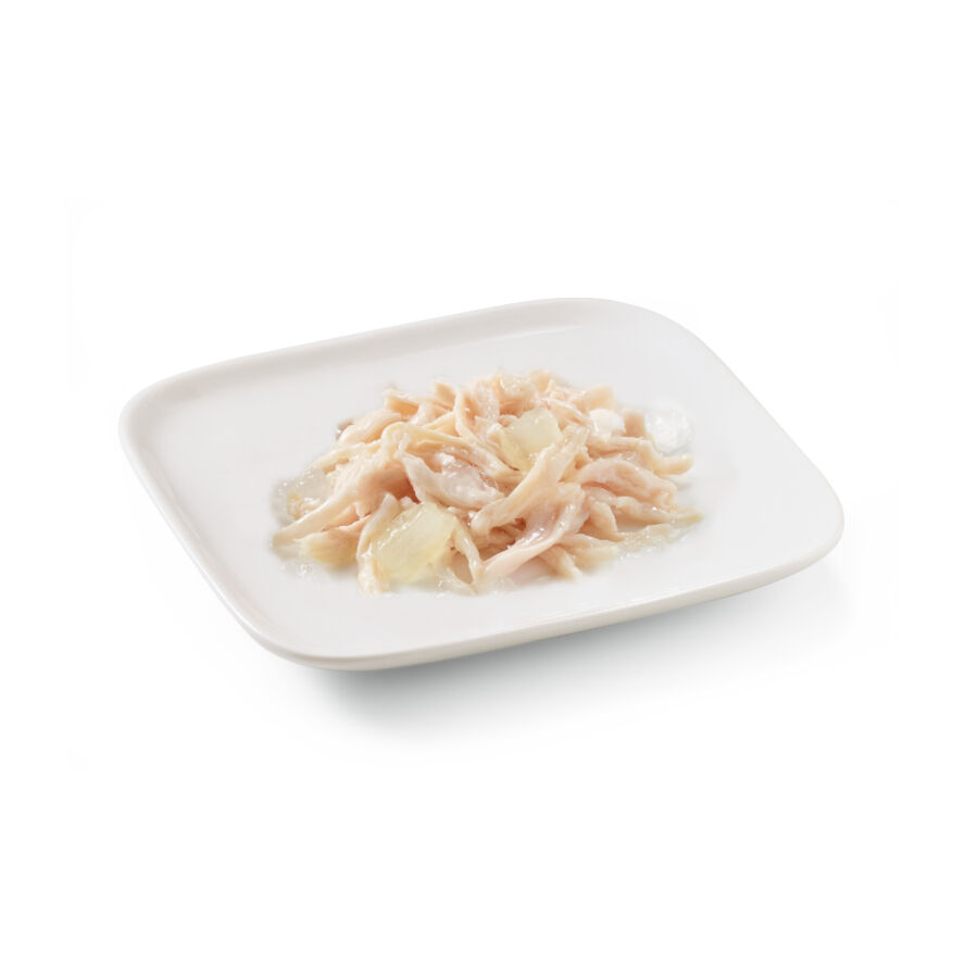 150 g Schesir Adult Frango com Alo&eacute; lata para c&atilde;es, , large Imagem n&uacute;mero 2