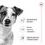 8 kg Royal Canin Mini 8+ Adult ração para cães, , large Indicador imagem número 5