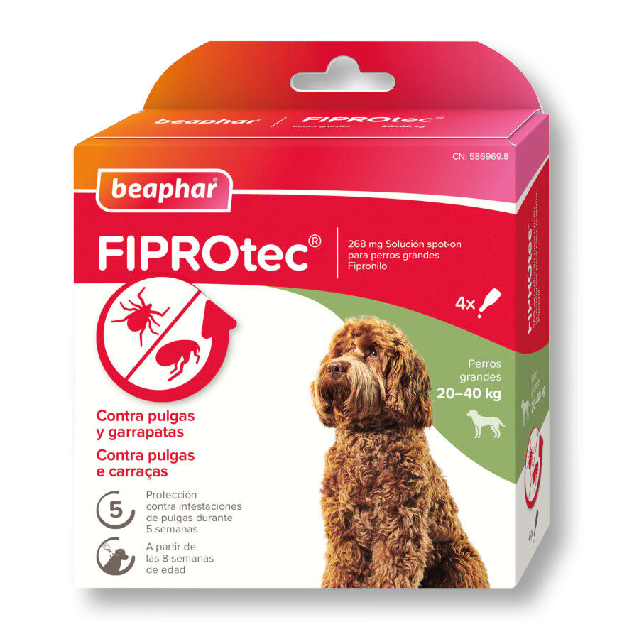Beaphar FiproTec Pipetas Antiparasit&aacute;rias para c&atilde;es de ra&ccedil;a pequena, , large Imagem n&uacute;mero 1