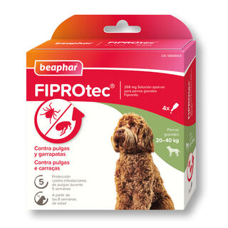 Beaphar FiproTec Pipetas Antiparasitárias para cães de raça grande