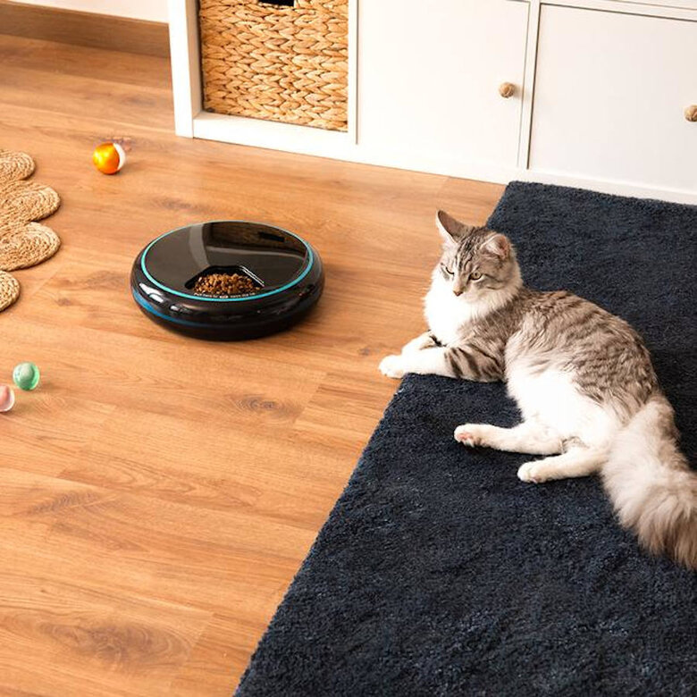 Cecotec Pumba 1600 Purrfect Meal Comedouro Dispensador para cães e gatos,  Imagem número 5 Cecotec Pumba 1600 Purrfect Meal Comedouro Dispensador para cães e gatos, , large Imagem número 5