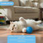 Tootoy! Chase Play Flash Ball Bola para gatos, , large Indicador imagem número 5