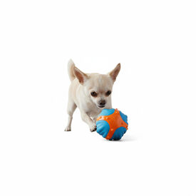 All For Paws Meta Ball  X Bola de ressalto Brinquedo para c&atilde;es