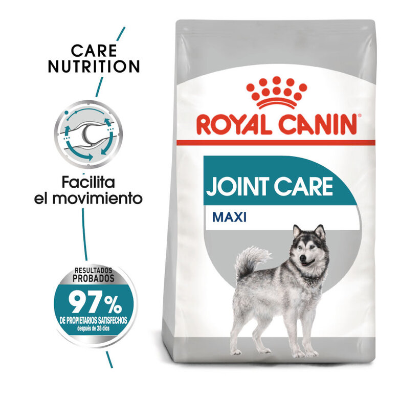 Royal Canin Maxi Joint Care ração para cães, , large image number null