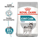 Royal Canin Maxi Joint Care ração para cães, , large image number null