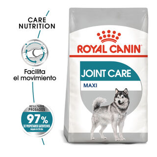 Royal Canin Maxi Joint Care ração para cães
