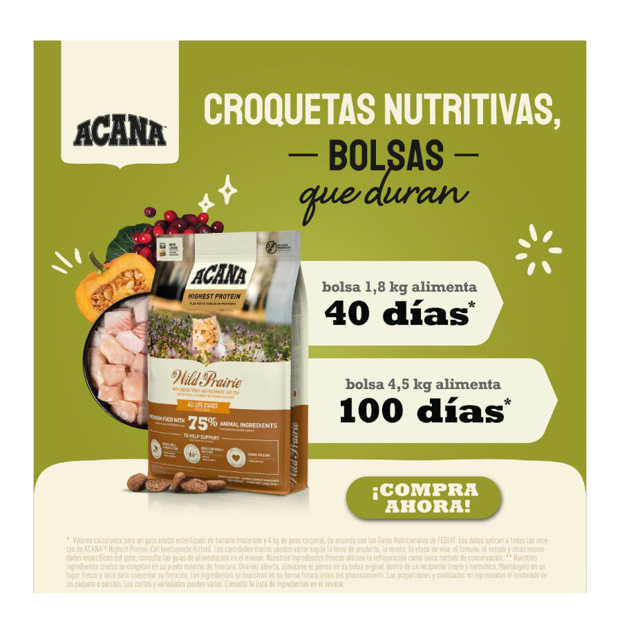4.5 kg Acana Wild Prairie ra&ccedil;&atilde;o para gatos, , large Imagem n&uacute;mero 4