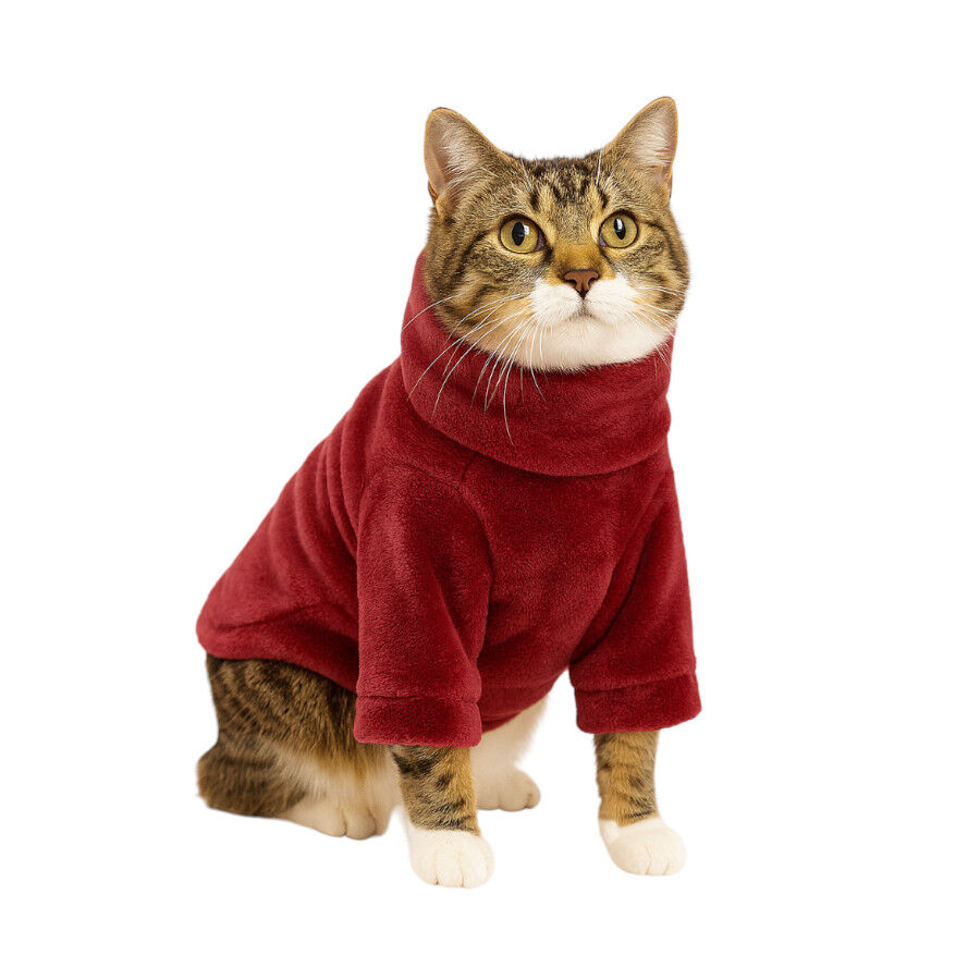 Outech Casaco em Polar para gatos, , large Imagem n&uacute;mero 4