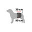 Flamingo fralda lav&aacute;vel para c&atilde;es machos, , large Indicador imagem n&uacute;mero 4