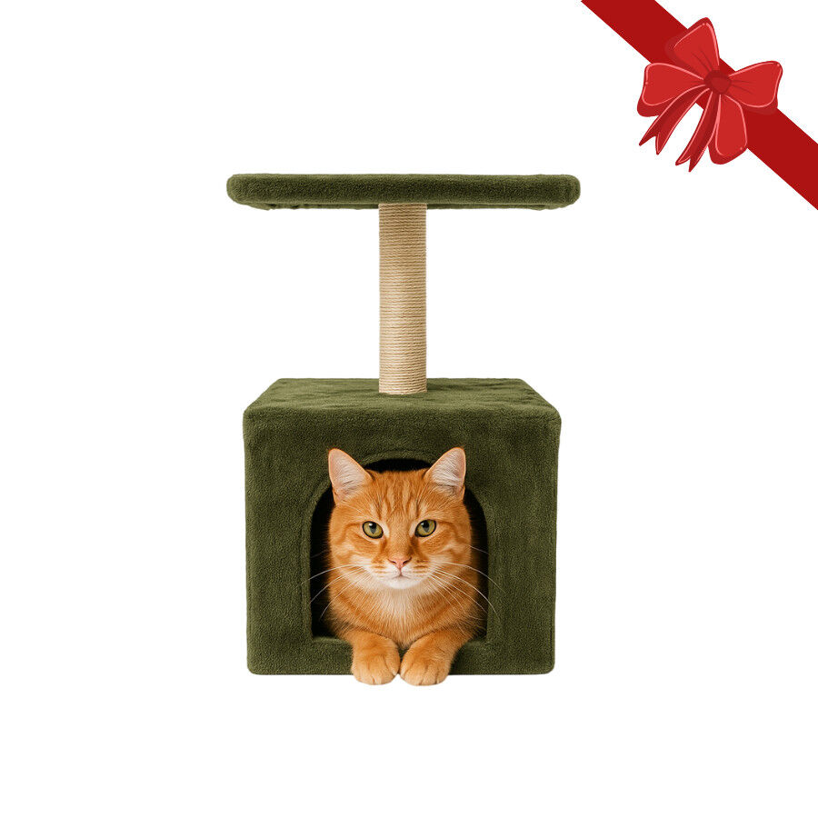 Wonder Christmas Arranhador com Poste de Sisal de Natal para Gatos, , large Imagem n&uacute;mero 1