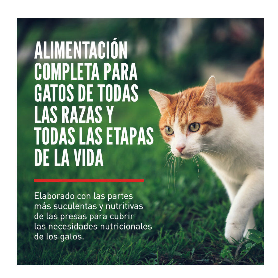 5.4 kg Orijen FitYTrim ra&ccedil;&atilde;o para gatos, , large Imagem n&uacute;mero 2