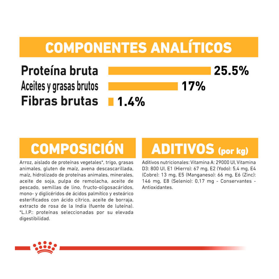 Royal Canin Dermacomfort Mini ra&ccedil;&atilde;o para c&atilde;es, , large Imagem n&uacute;mero 7