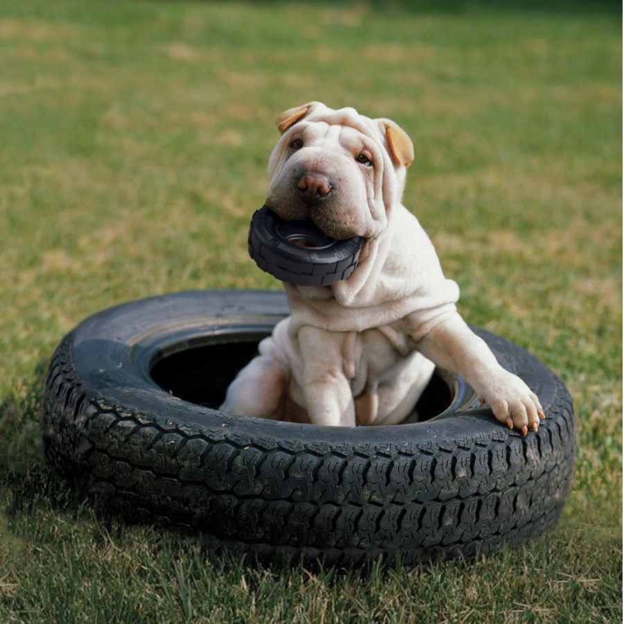 Kong Extreme Traxx pneu brinquedo para c&atilde;es, , large Imagem n&uacute;mero 2