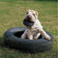 Kong Extreme Traxx pneu brinquedo para cães, , large Indicador imagem número 2