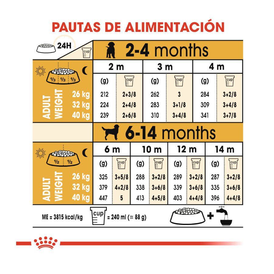 12 kg Royal Canin Puppy Labrador Retriever ra&ccedil;&atilde;o para c&atilde;es, , large Imagem n&uacute;mero 9