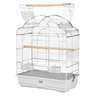 Alamber Ninfa Chrome gaiola para pássaros
