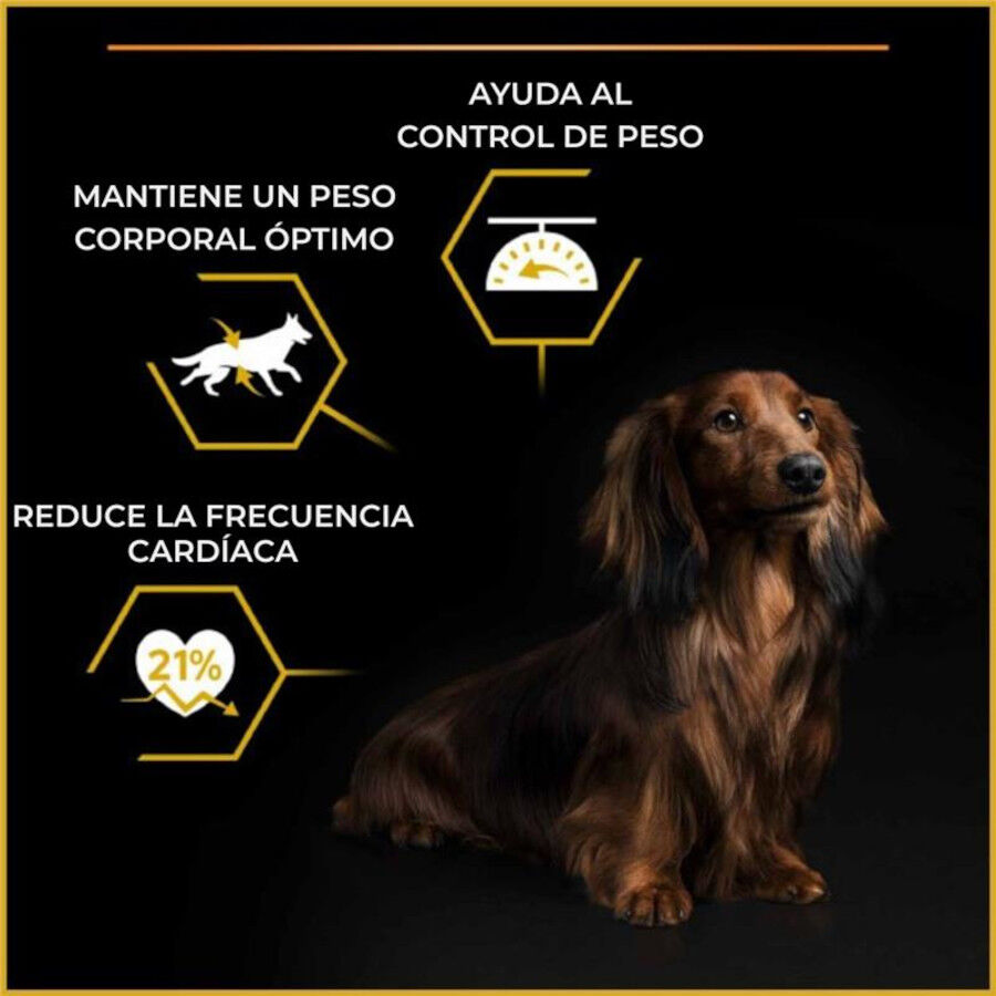 Purina Pro Plan Adult Light Esterilizado Ra&ccedil;&atilde;o de frango para c&atilde;es, , large Imagem n&uacute;mero 4