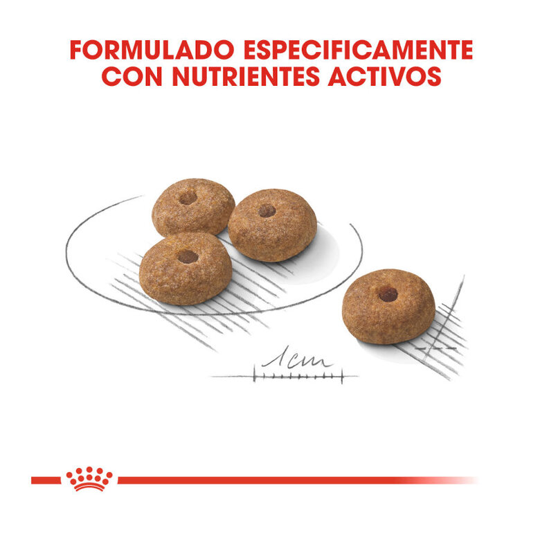 Royal Canin Mini Sterilised ração para cães, , large image number null