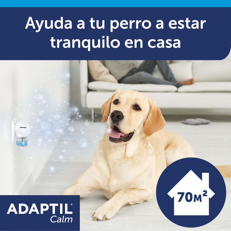 Adaptil Difusor e Recarga Tranquilizante para Cães,  Imagem número 2 Adaptil Difusor e Recarga Tranquilizante para Cães, , large Imagem número 2