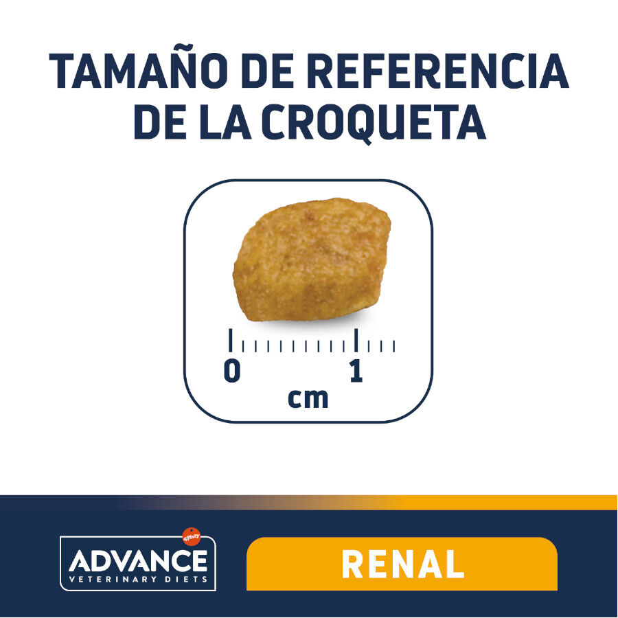 2 x 1.5 kg Advance Veterinary Diets Renal ra&ccedil;&atilde;o para gatos Pack poupan&ccedil;a!, , large Imagem n&uacute;mero 4