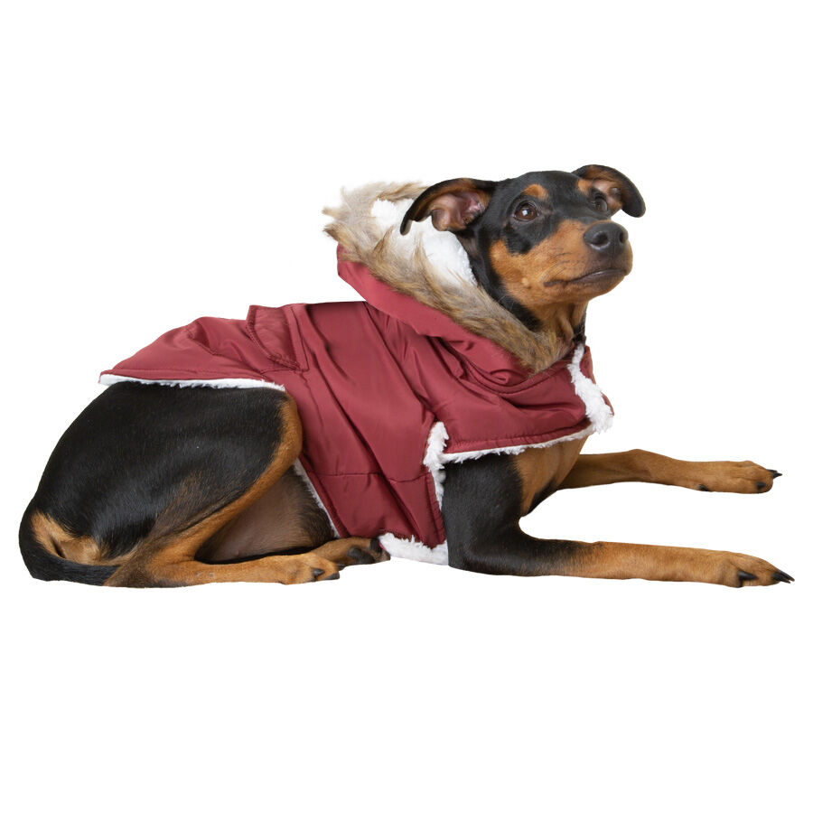 Outech Granada Casaco com Capuz para c&atilde;es, , large Imagem n&uacute;mero 1