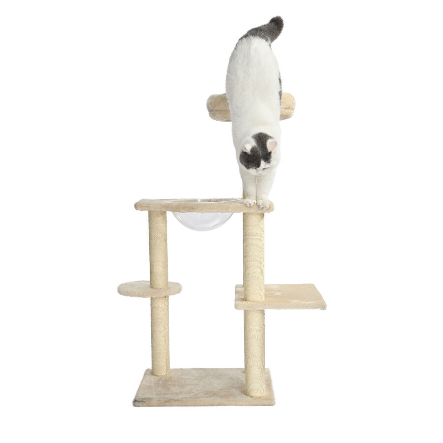 Leeby Luna &aacute;rvore arranhadora com cama e brinquedo para gatos, , large Imagem n&uacute;mero 4