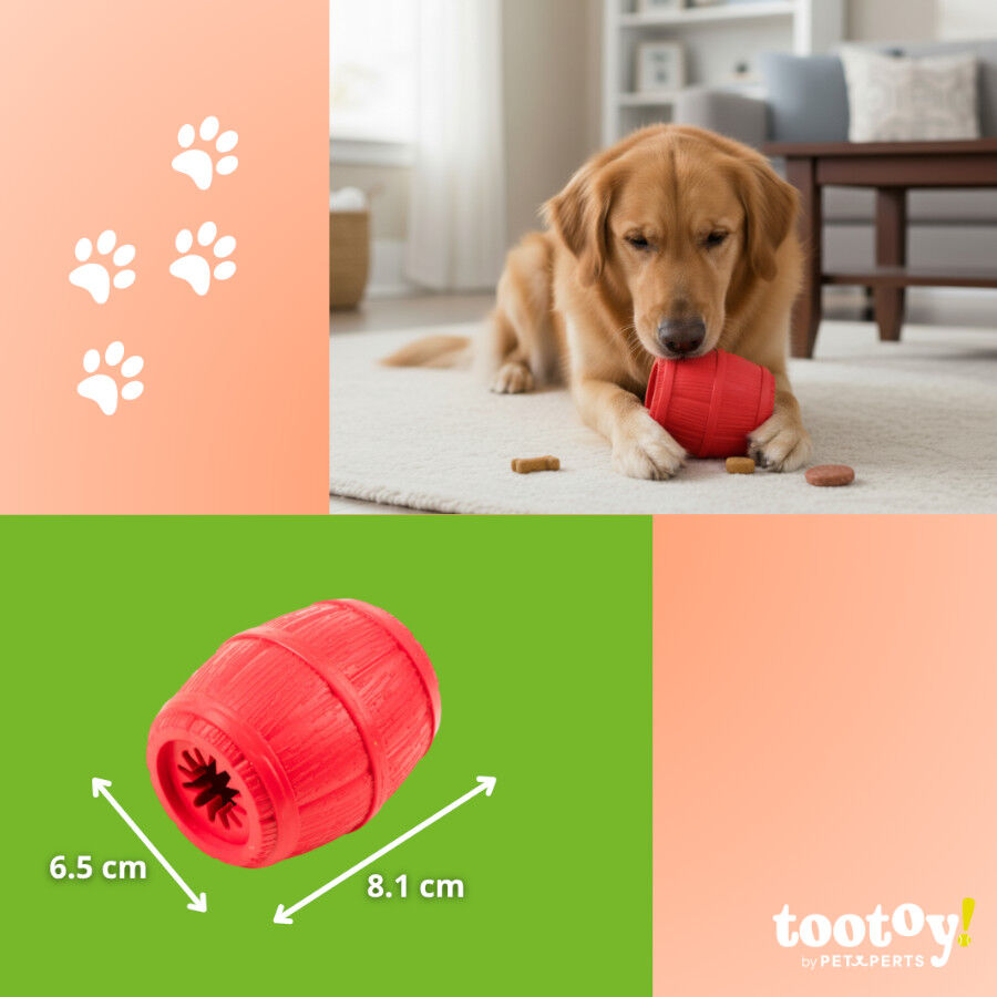 Tootoy! Chew Brinquedo interativo dispensador de snacks para c&atilde;es, , large Imagem n&uacute;mero 4