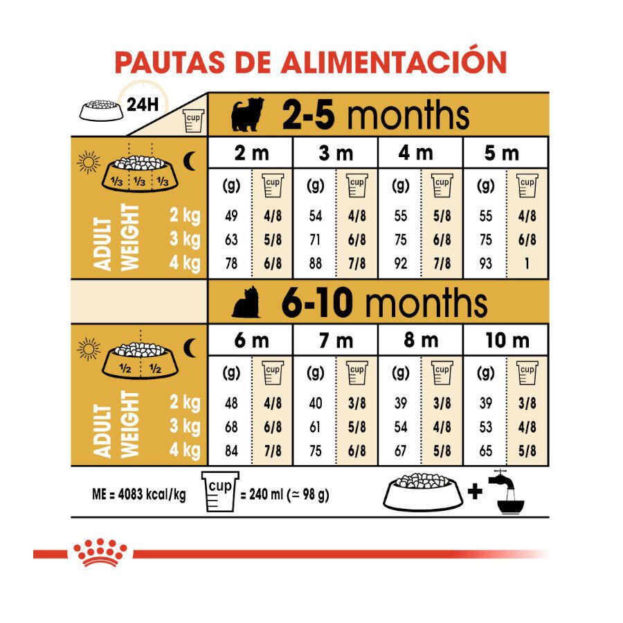 Royal Canin Puppy Yorkshire Terrier ra&ccedil;&atilde;o para c&atilde;es, , large Imagem n&uacute;mero 7