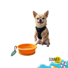Summer Vibes Foldable Orange Bebedouro Port&aacute;til para c&atilde;es