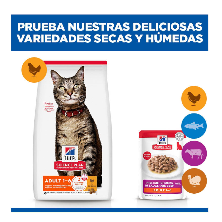 85 g Hill's Science Plan Adult Vitela Saqueta em Molho para gatos, , large Imagem n&uacute;mero 11