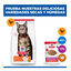 85 g Hill's Science Plan Adult Vitela Saqueta em Molho para gatos, , large Indicador imagem n&uacute;mero 11