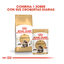 85 g Royal Canin Maine Coon alimento húmido para gatos, , large Indicador imagem número 3