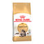 10 kg Royal Canin Adult Maine Coon ração para gatos, , large Indicador imagem número 1