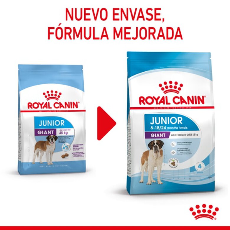 Royal Canin Junior Giant ração para cães, , large image number null