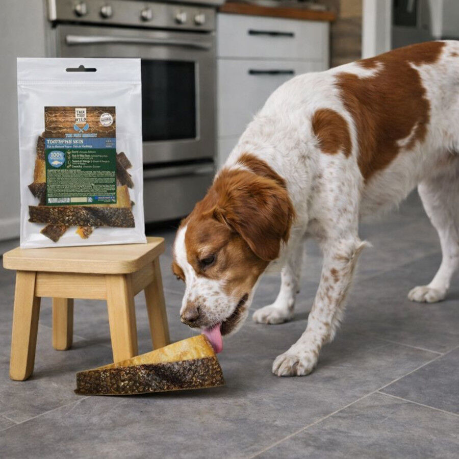 70 g. True Origins Piel Merluza Negra Snack para perros, , large Imagem n&uacute;mero 1