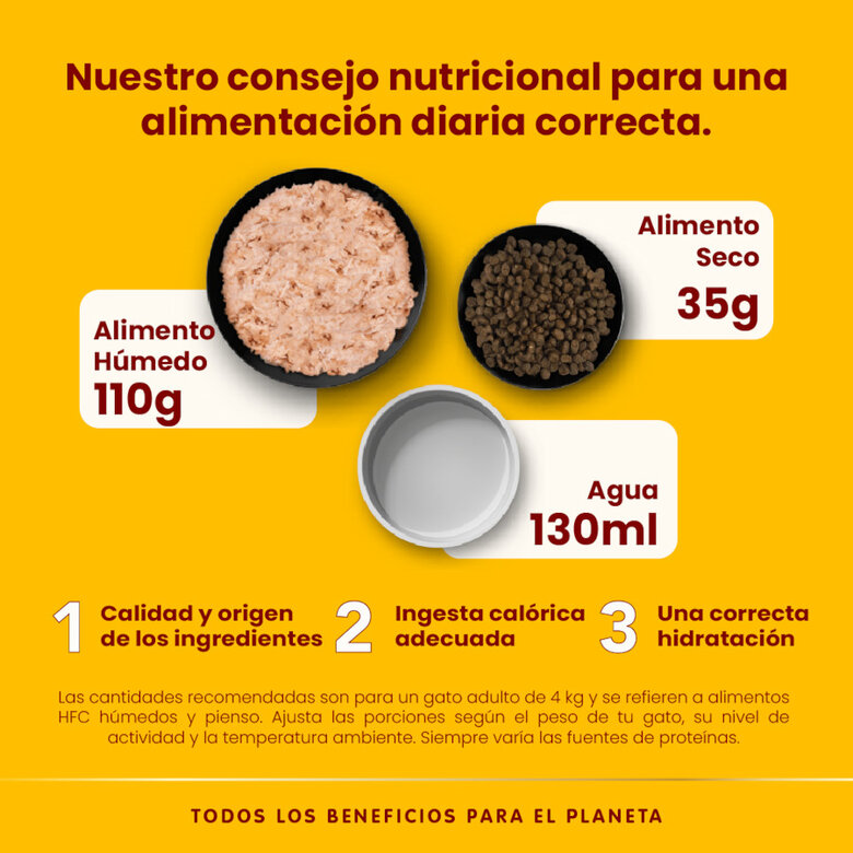 70 g Almo Nature HFC Atum do Pacífico lata para gatos ,  Imagem número 4 70 g Almo Nature HFC Atum do Pacífico lata para gatos , , large Imagem número 4