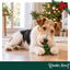 1 un. Wonder Christmas &Aacute;rvore de Couro Prensado Snacks para C&atilde;es, , large Indicador imagem n&uacute;mero 2