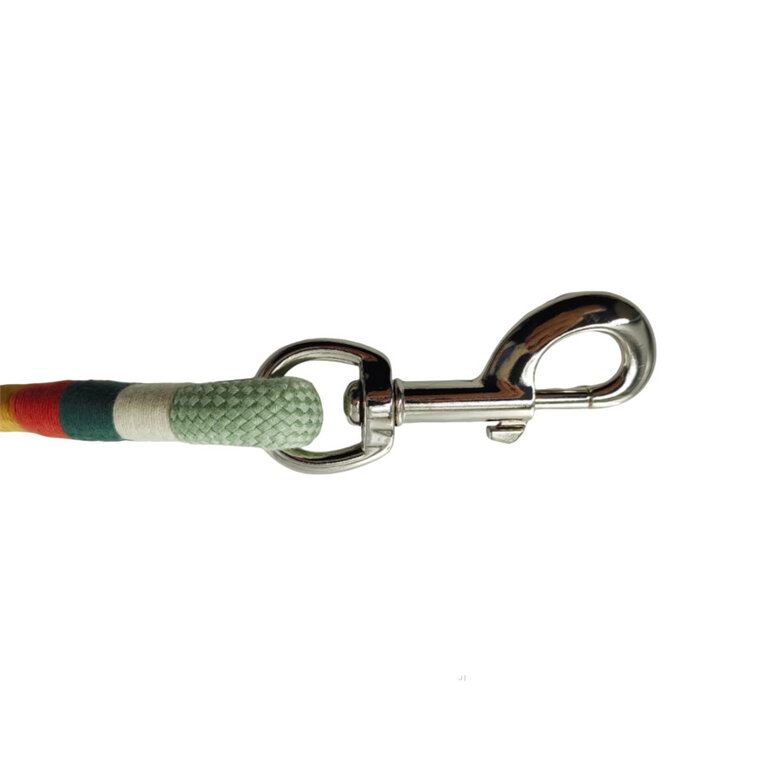 Gotoo Trela de corda verde para cães,  Imagem número 4 Gotoo Trela de corda verde para cães, , large Imagem número 4