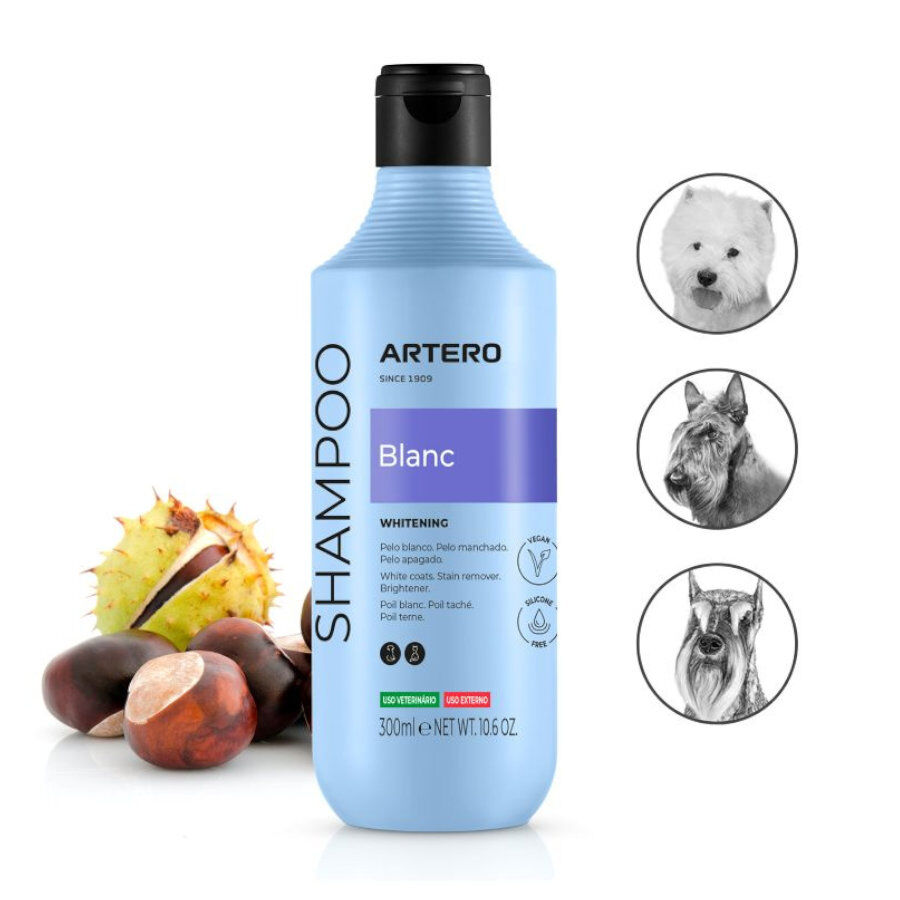 Artero Blanc champ&ocirc; para c&atilde;es e gatos de pelo branco, , large Imagem n&uacute;mero 3
